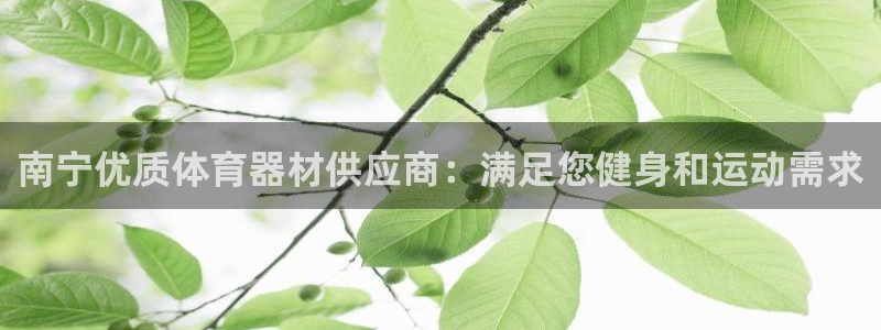 星欧娱乐最建议买的三个产品是什么意思：南宁优质体育器