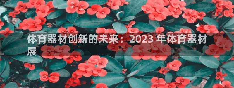星欧娱乐的创始人背景故事是什么：体育器材创新的未来：