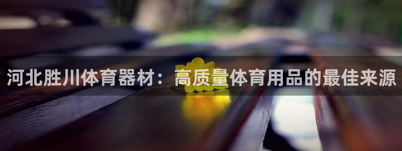 星娱乐online创作的原声胡歌吴磊：河北胜川体育器