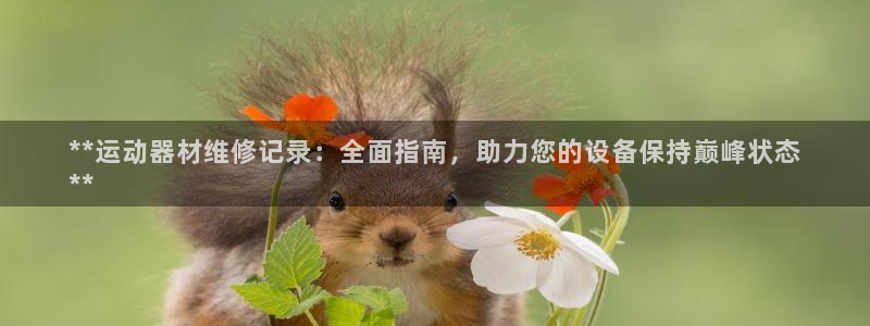 星奥娱乐艺人：**运动器材维修记录：全面指南，助力您