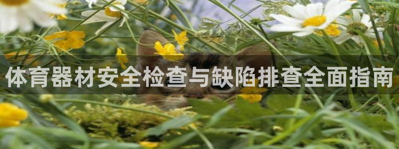 星欧娱乐是正规平台吗知乎文章：体育器材安全检查与缺陷