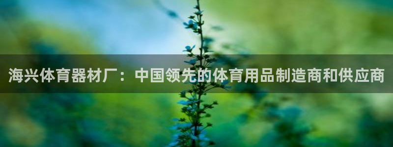 星游娱乐下载地址：海兴体育器材厂：中国领先的体育用品