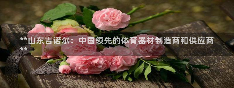 星欧娱乐最建议买的三个产品有哪些内容：**山东吉诺尔