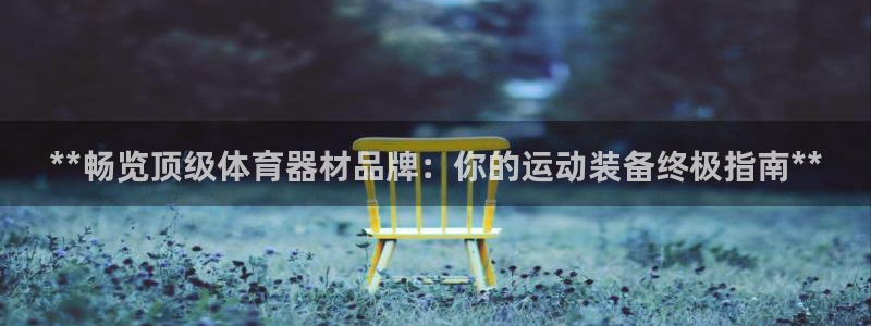 星欧娱乐挂机：**畅览顶级体育器材品牌：你的运动装备