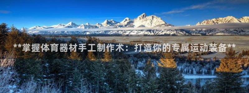 星欧娱乐属于什么档次的公司：**掌握体育器材手工制作