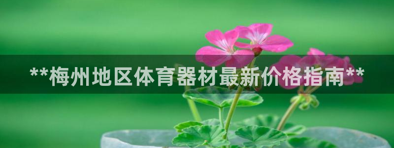 星欧娱乐app最新版本更新内容下载：**梅州地区体育