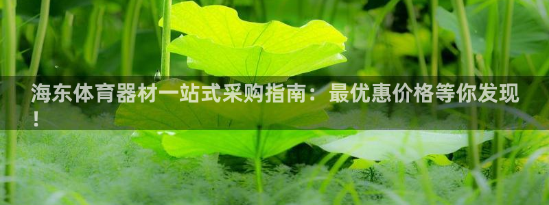 星欧娱乐公司创始人背景故事简介：海东体育器材一站式采