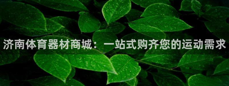 星奥盛典娱乐会所：济南体育器材商城：一站式购齐您的运