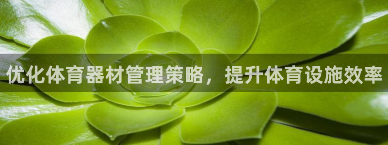 星欧娱乐v8.0.3最新版本更新内容介绍：优化体育器
