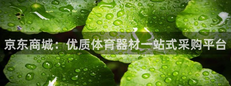 星欧娱乐扣款流程详解图：京东商城：优质体育器材一站式