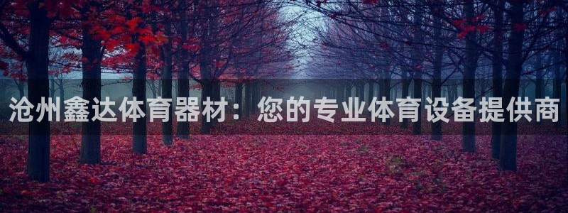 星奥娱乐集团是国企吗：沧州鑫达体育器材：您的专业体育
