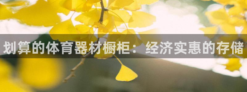 星欧娱乐总代.直开.中国：划算的体育器材橱柜：经济实