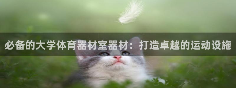 星欧娱乐扣款时间查询方法是什么意思：必备的大学体育器