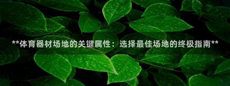 星奥娱乐旗下艺人：**体育器材场地的关键属性：选择最