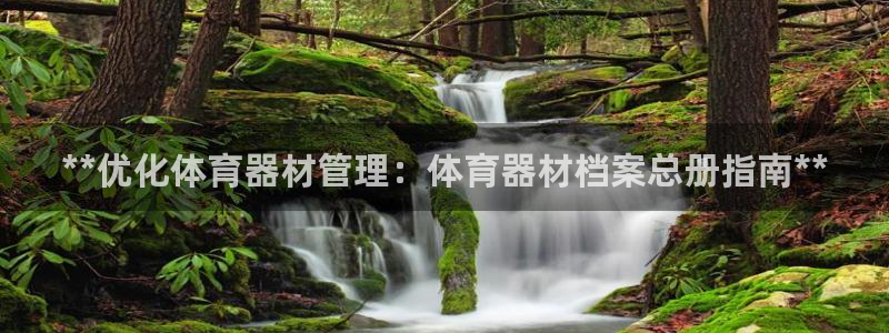 江苏星奥娱乐有限公司：**优化体育器材管理：体育器材