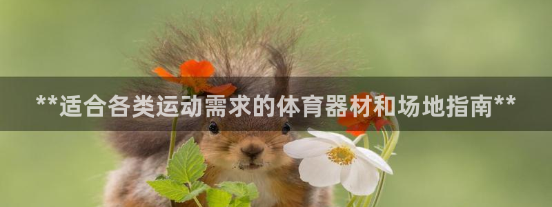 星欧娱乐测速
