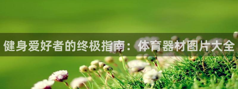 星欧娱乐挂机教程视频：健身爱好者的终极指南：体育器材