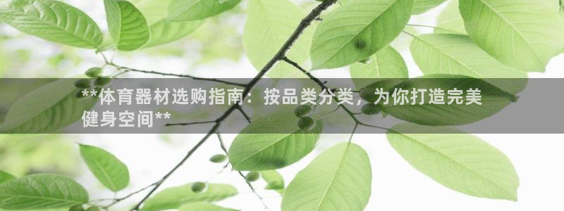 星欧娱乐属于什么档次的软件公司：**体育器材选购指南