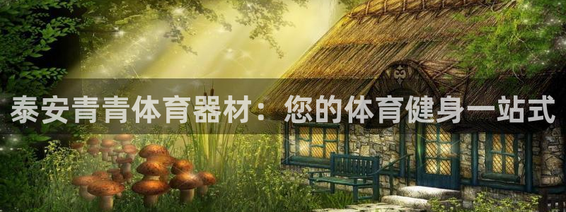 星欧娱乐游戏官网：泰安青青体育器材：您的体育健身一站