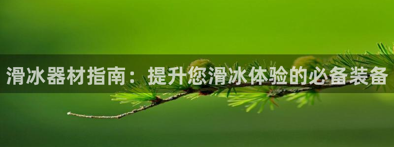 星欧娱乐属于什么档次的网站：滑冰器材指南：提升您滑冰