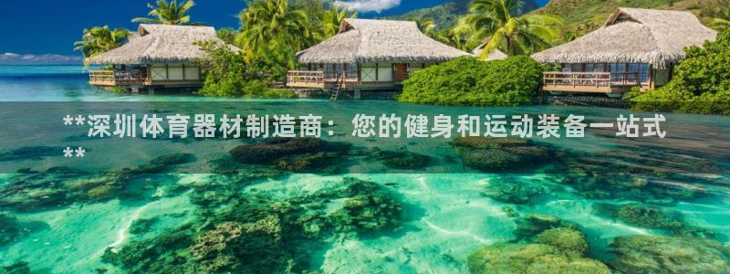 星欧娱乐属于什么档次的公司：**深圳体育器材制造商：