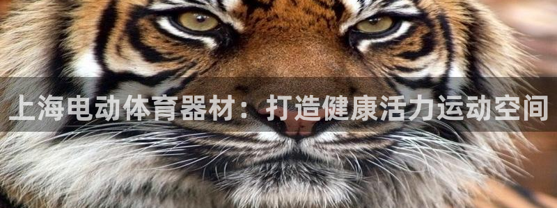星欧娱乐官方客服联系方式是什么：上海电动体育器材：打