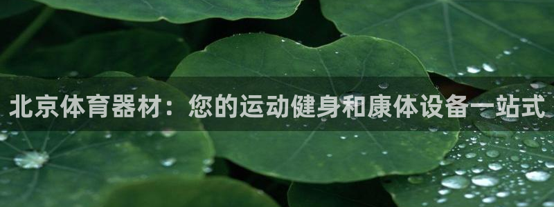 星欧娱乐是什么品牌：北京体育器材：您的运动健身和康体
