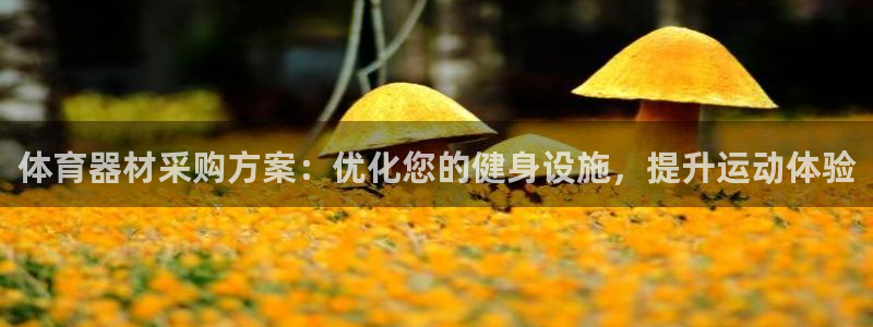 星娱乐online创作的原声这个歌曲叫什么名字：体育