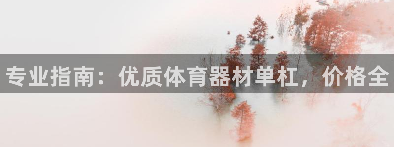 星欧娱乐会员优惠活动：专业指南：优质体育器材单杠，价
