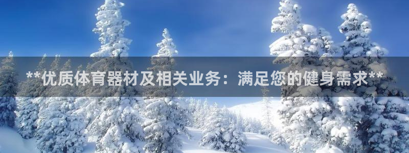 星欧娱乐挂机赚钱是真的吗：**优质体育器材及相关业务