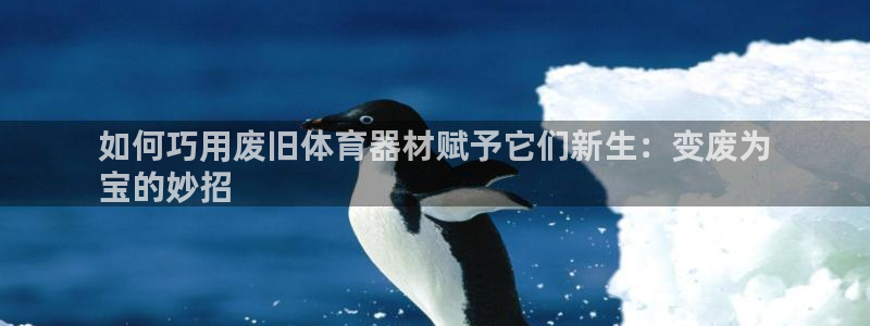 星欧娱乐平台怎么样