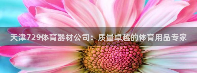 星欧娱乐还能玩吗：天津729体育器材公司：质量卓越的
