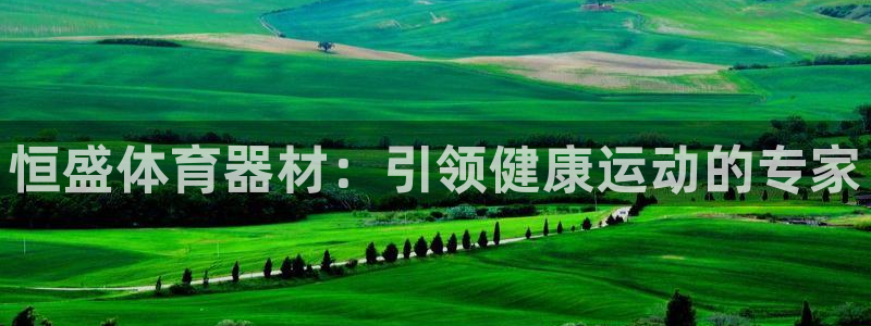 星欧娱乐扣款时间查询方法怎么查不到：恒盛体育器材：引