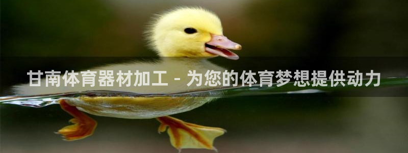星欧娱乐挂机教程：甘南体育器材加工 - 为您的体育梦