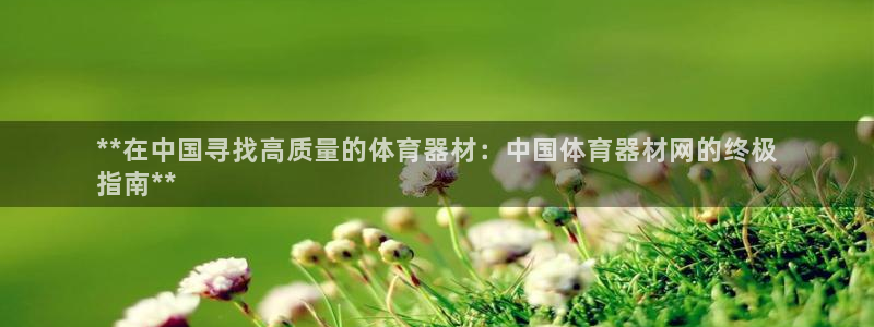 星澳娱乐公司