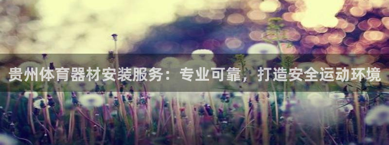 星奥娱乐集团：贵州体育器材安装服务：专业可靠，打造安