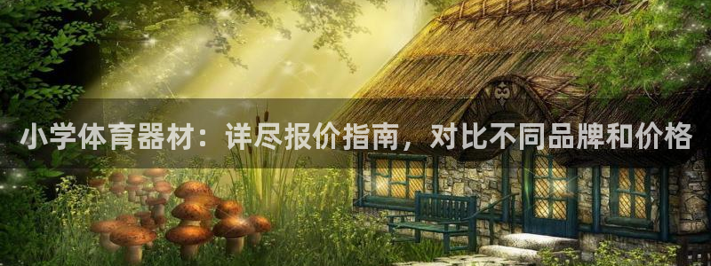 星欧娱乐退款流程详解：小学体育器材：详尽报价指南，对