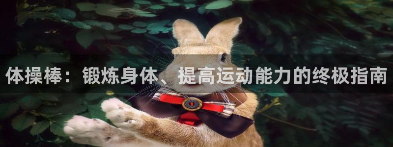 星欧娱乐扣款流程详解视频下载：体操棒：锻炼身体、提高
