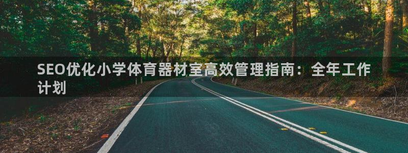 星欧娱乐扣钱步骤详解：SEO优化小学体育器材室高效管