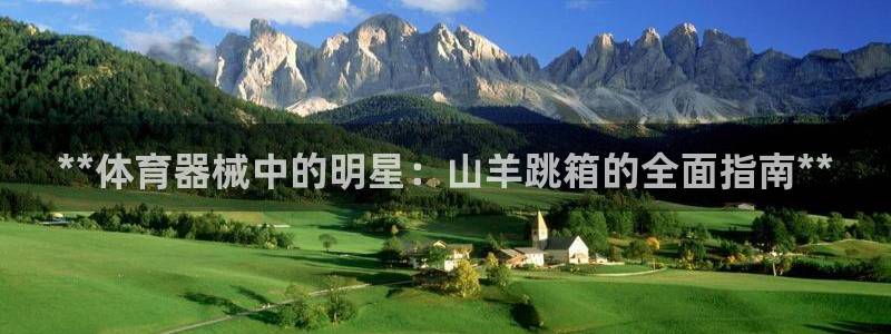 星欧娱乐公司创始人背景故事：**体育器械中的明星：山