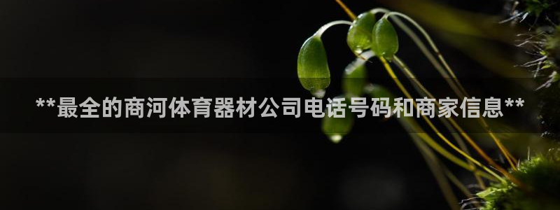 星欧娱乐的官方版本更新内容是什么：**最全的商河体育