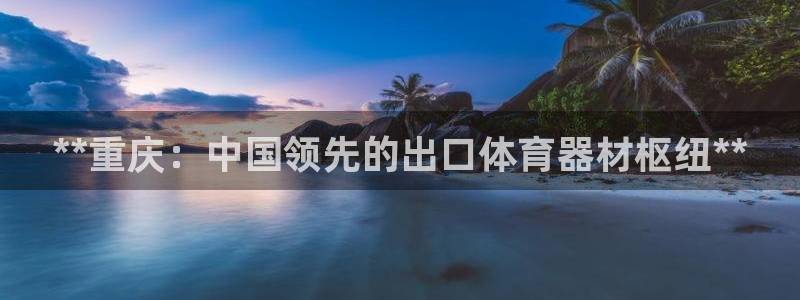 星欧娱乐平台怎么样可靠吗：**重庆：中国领先的出口体