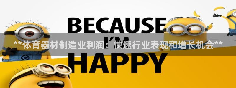 星欧娱乐属于什么档次的公司名称：**体育器材制造业利