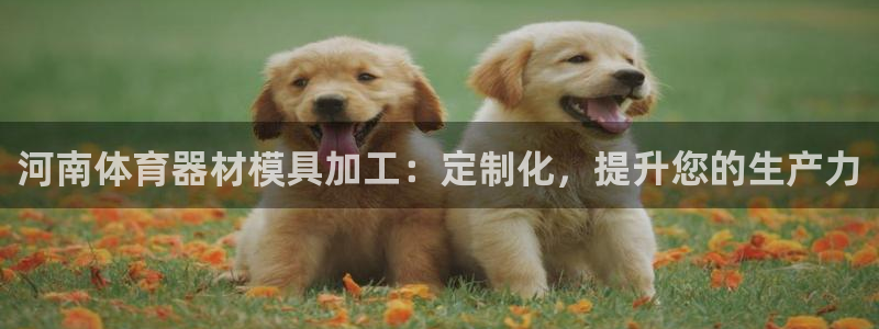 星欧娱乐平台怎么样啊安全吗：河南体育器材模具加工：定