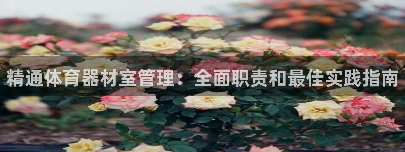 星欧娱乐和嫲薇他的区别是什么：精通体育器材室管理：全