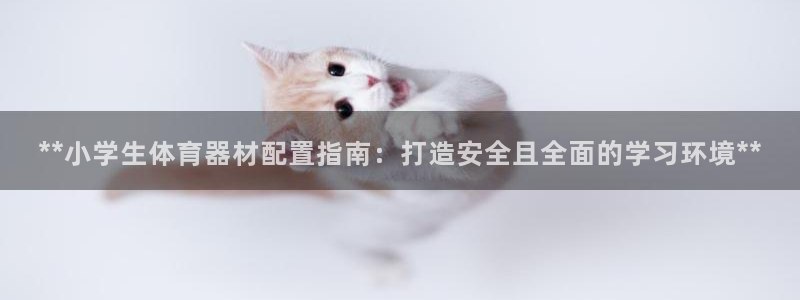 星欧娱乐平台测速线路：**小学生体育器材配置指南：打