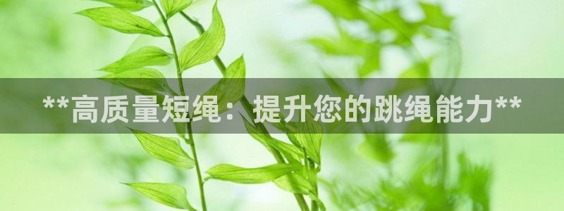 星欧娱乐公司电话号码：**高质量短绳：提升您的跳绳能