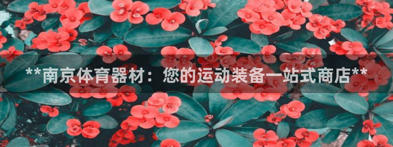 星欧娱乐扣款时间查询方法怎么查不了：**南京体育器材