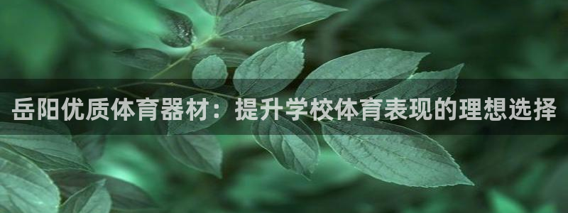 星欧娱乐app最新版本更新内容下载：岳阳优质体育器材