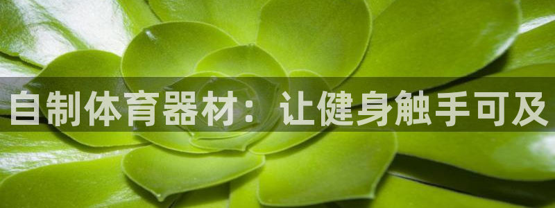 星欧娱乐属于什么档次的公司：自制体育器材：让健身触手